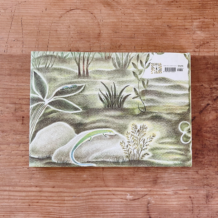 The back cover of the book shown on a wooden surface.