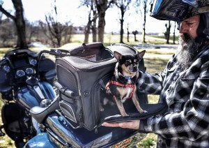 NR-240 Rover Pet Carrier: ROUTE 1 ROVER PET CARRIER
NR-240
LIFETIME WARRANTY (Through Nelson Rigg)
Spacious main compartm
