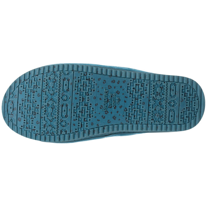 #coloris_bleucanard