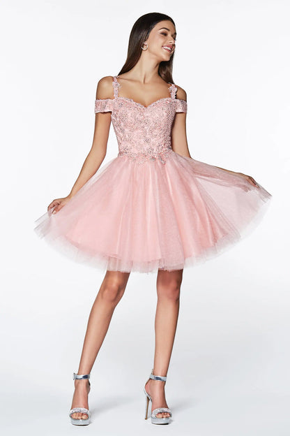 Cinderella Divine CD0132 - Grade 8 Grad Dresses - Norma Reed - NORMA REED
