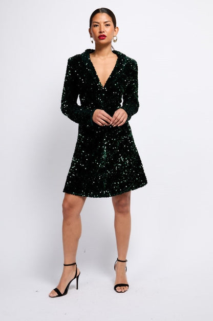 Jessie Sequin Mini Dress (Green)