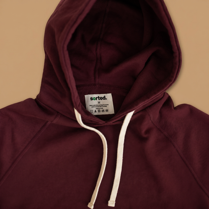 Men's Organic Cotton Midweight Raglan Hoodie - Port Royale