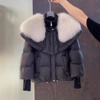 Petite Parka Coat - Sculpted Collar, City Warmth Layers