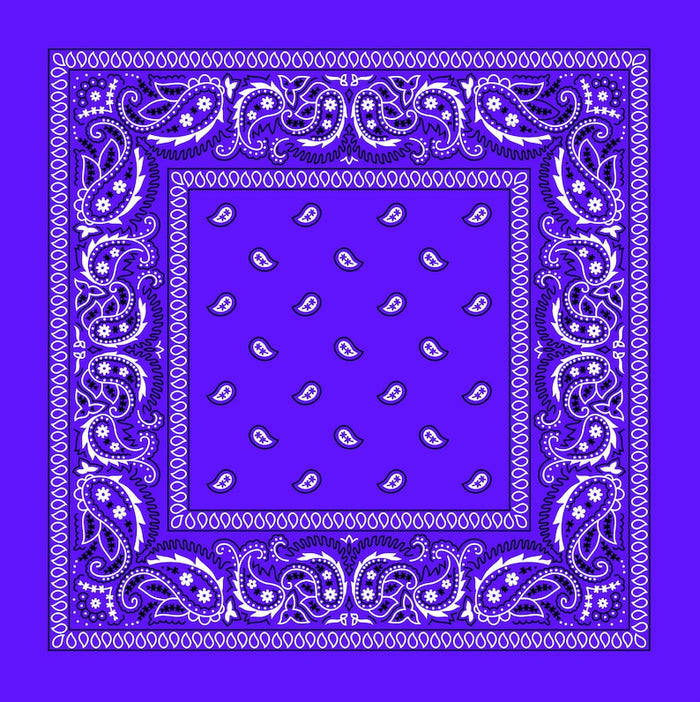 Purple Paisley Bandana: Purple Paisley Bandana