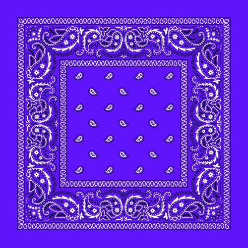Purple Paisley Bandana: Purple Paisley Bandana