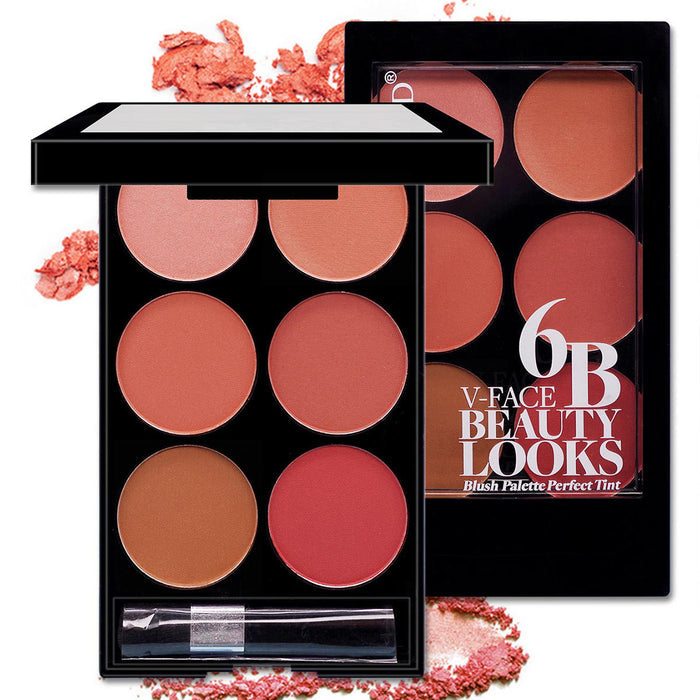 Angled Shot of Six Color Blush Palette – Versatile Cheek Transformation