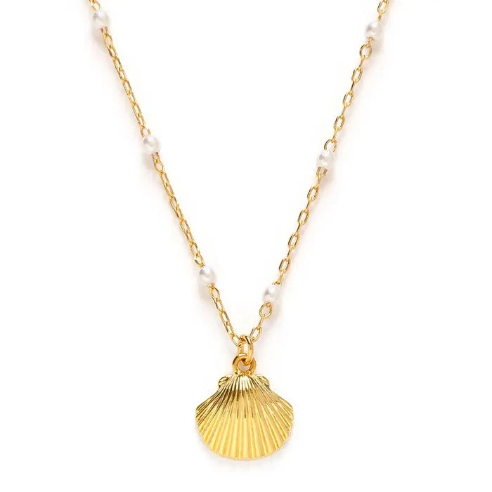 Gold shell pendant necklace with a white pearl and gold chain on a white background