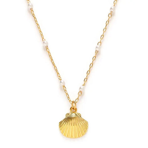 Gold shell pendant necklace with a white pearl and gold chain on a white background
