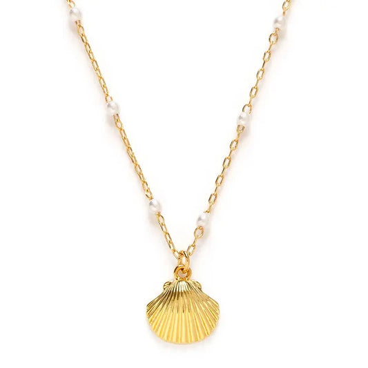 Gold shell pendant necklace with a white pearl and gold chain on a white background