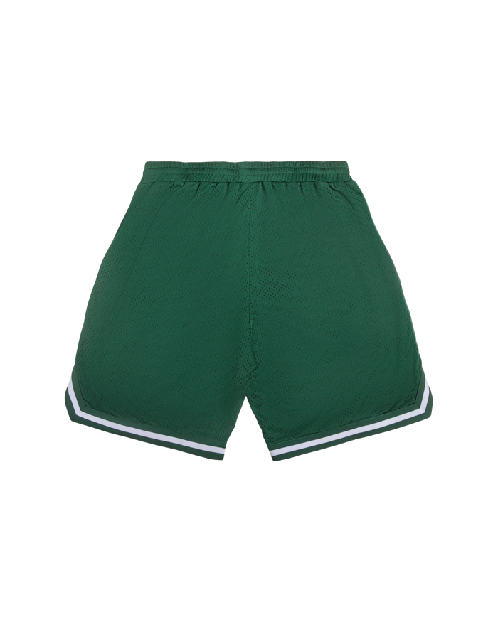 Team IC Running Dog Basketball Shorts