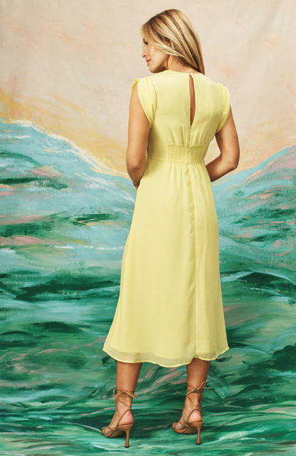 The Buttercup Embroidered Front Button Midi Dress (Yellow)