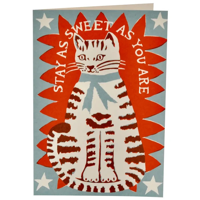 A white cat with a printed border and text that reads stay as sweet as you are on a card, with a white background.