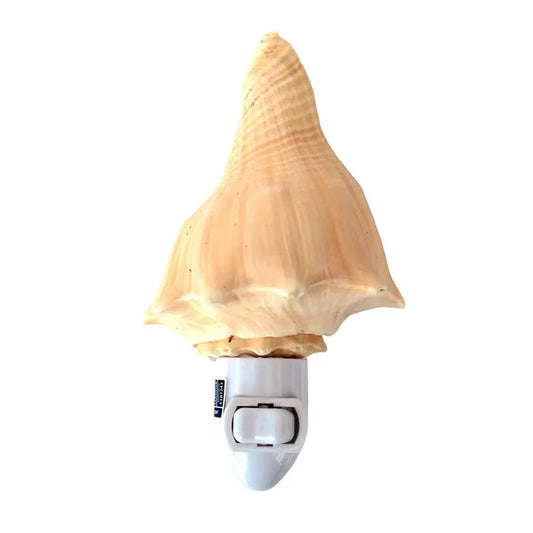 Vole Seashell Night Light — a large natural cream-colored vole conch shell mounted on a white plastic plug-in switch base with a toggle switch, on a white background