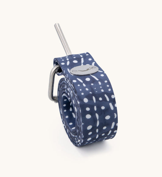 Coiled navy blue Whale Shark Dive Belt with white spot pattern, stainless steel pin buckle, and Waihana brand logo medallion on a neutral background.