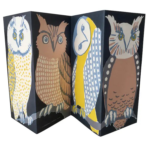 A foldy concertina greeting card featuring a series of owl illustrations in various colors on a dark background.